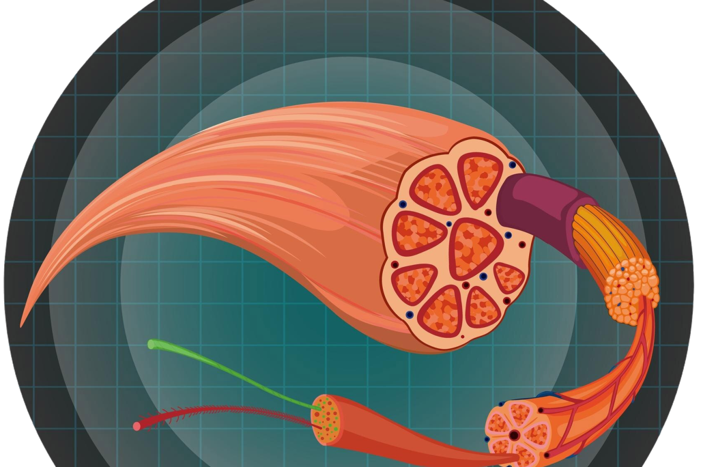 Eine Person liegt entspannt auf einer Liege, während eine andere Person sie behandelt.